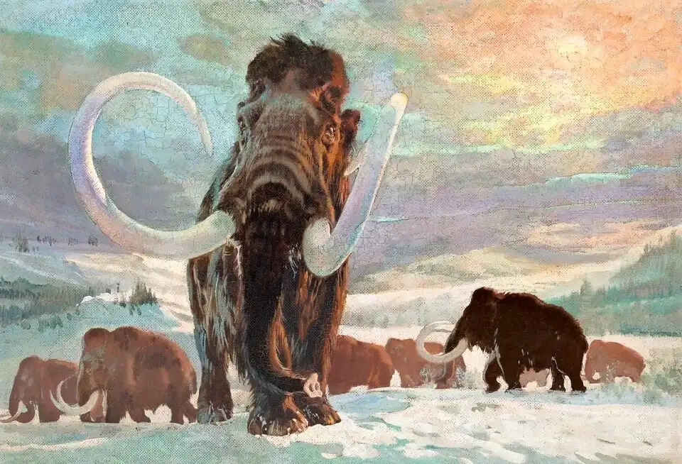 Mammoth hunt